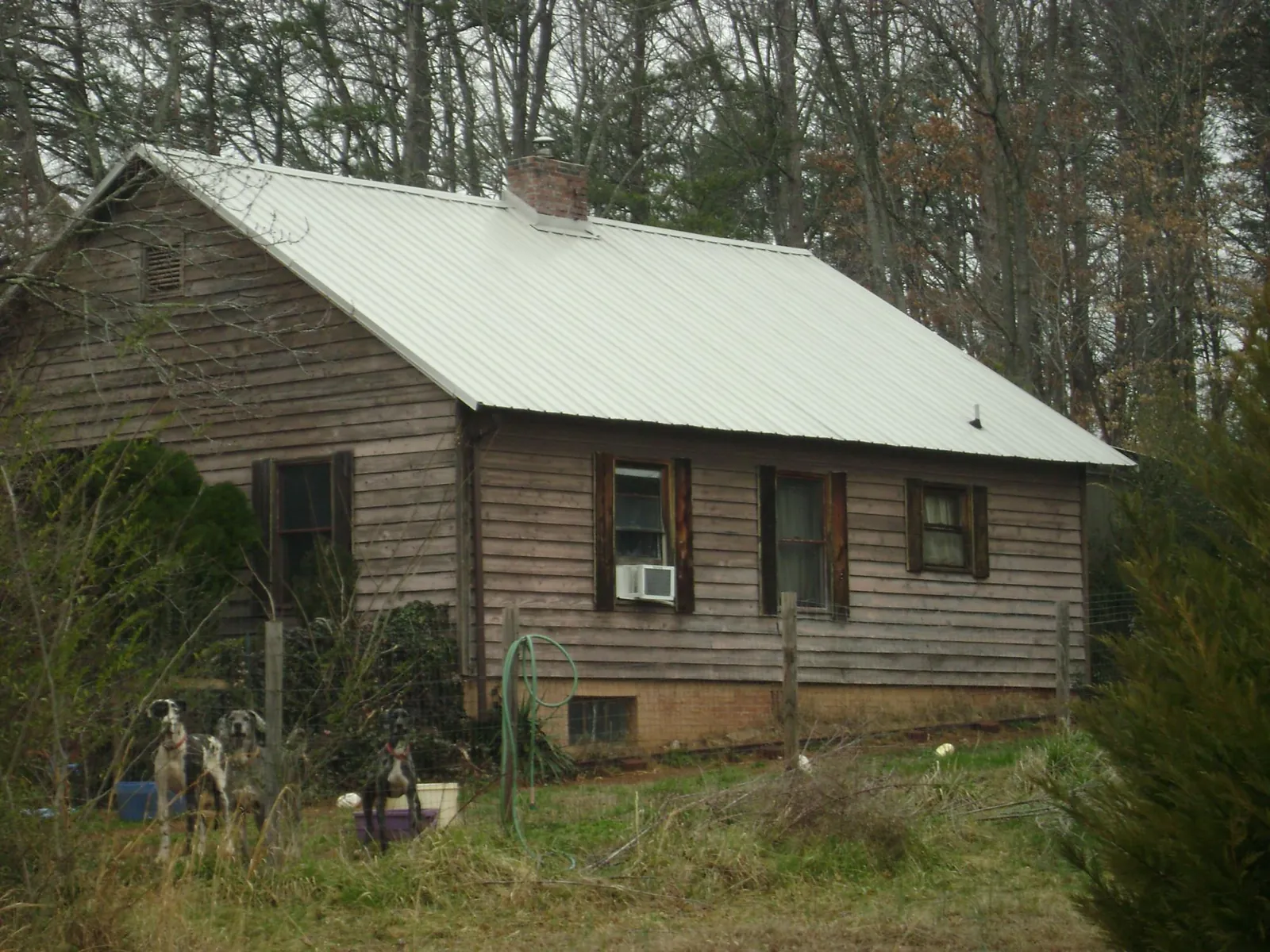White metal roof on an old wood sided farmhouse, from a Asphalt Shingle Roof Repair job in Indian Valley